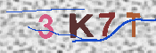 Kontrolní text