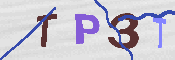 Kontrolní text